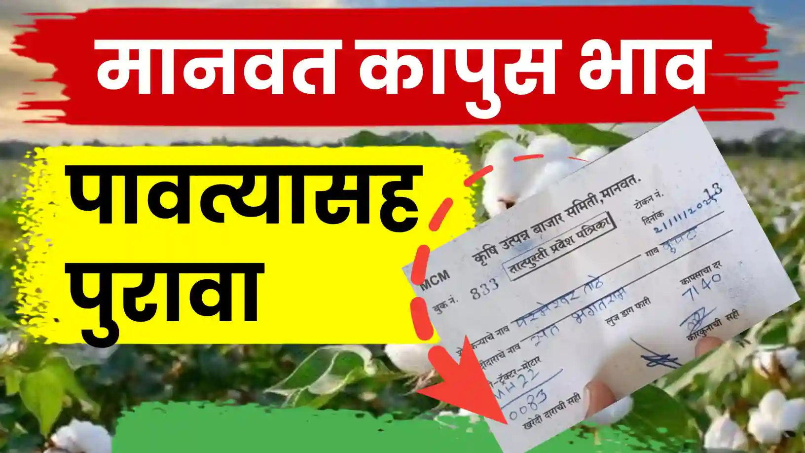 मानवतमध्ये कापसाच्या भावात मोठी वाढ